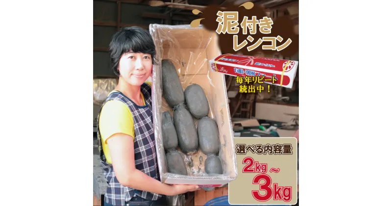 【ふるさと納税】【選べる内容量】 大人気！ 佐賀県産 泥付き レンコン（ 2kg～3kg ） 送料無料 農家直送 九州 佐賀 続々高評価 蓮根 野菜 根菜 サラダ マリネ 【A095-001】