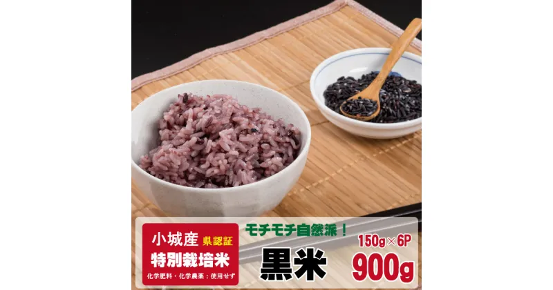 【ふるさと納税】 モチモチ 自然派食・特別栽培認定 「 黒米 」150g×6個 【B115-006】