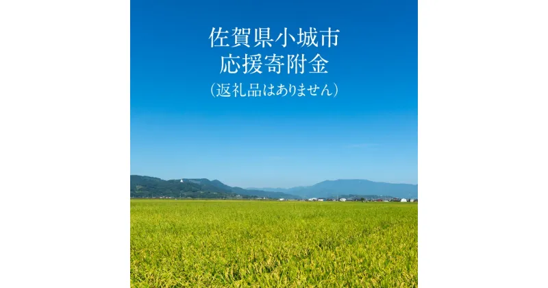 【ふるさと納税】【佐賀県小城市応援寄附金】返礼品はありません(1,000円単位でご寄附いただけます)