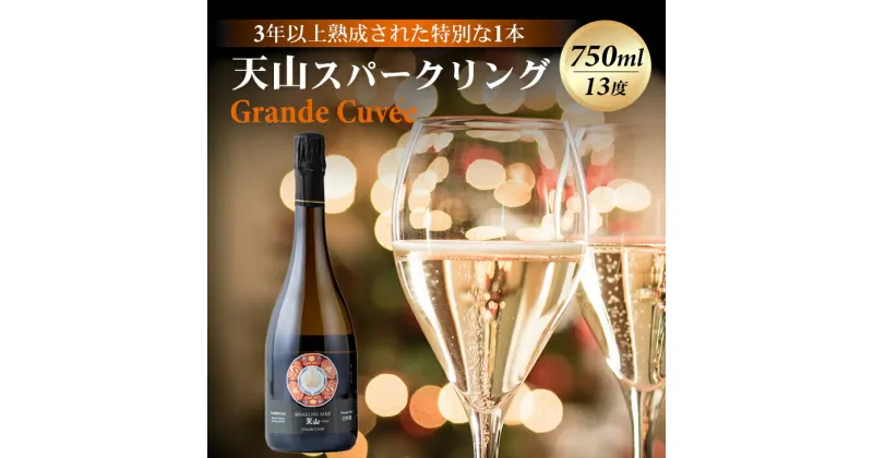 【ふるさと納税】 天山 sparkling Grande Cuvee グラン キュベ 750ml 天山酒造 日本酒 スパークリング 送料無料 日本酒 飲み比べ 地酒 蔵元直送 お酒 アルコール お祝い 人気 ランキング 高評価 【D400-009】