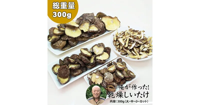 【ふるさと納税】俺の作った 原木 乾燥 しいたけ（サイズ大・中・小・カット） 300g 椎茸 【B100-004】