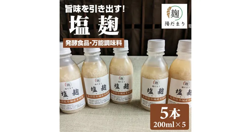 【ふるさと納税】旨味を引き出す 塩麹 5本セット 発酵食品 伝統食品 【B115-019】