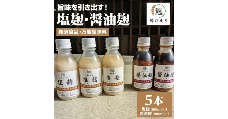 【ふるさと納税】旨味を引き出す 塩麹 3本・醤油麹 2本セット 発酵食品 【B115-023】