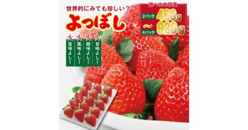 【ふるさと納税】【先行予約（1月から順次出荷】【選べる内容量】 いちご 「 よつぼし 」『230g×2パック（460g）、230g×4パック（920g）』 農家直送品 しもむら農園 果物 くだもの フルーツ 人気 ランキング 高評価 苺 イチゴ 【A090-014】