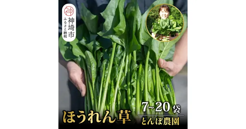 【ふるさと納税】佐賀県脊振山麓産 ほうれん草【1kg / 1.8kg / 3kg】