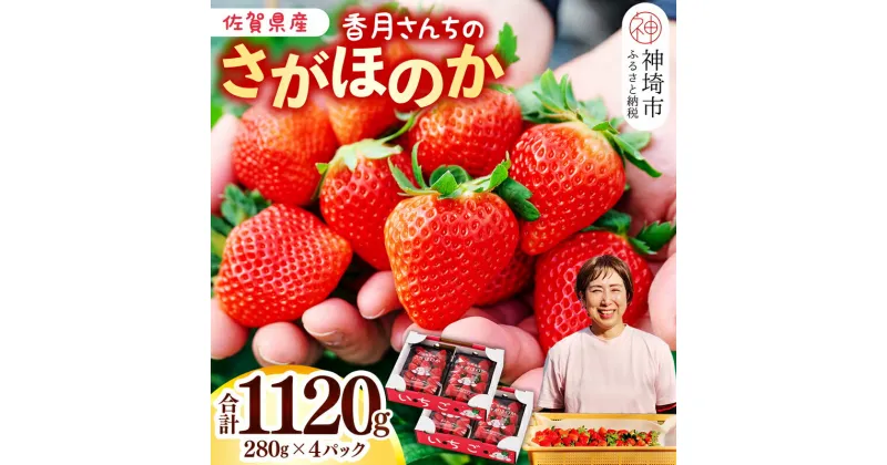 【ふるさと納税】【先行受付 令和7年1月より発送】香月さんちのいちご(さがほのか)280g×4パック【いちご イチゴ 苺 さがほのか 大玉 大粒フルーツ 果物 数量限定 香月農園 佐賀県産】(H017109)