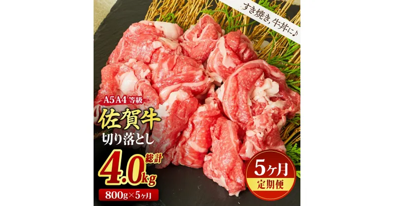 【ふるさと納税】【5ヶ月定期便】佐賀牛 贅沢 切り落とし 800g（合計4kg）(H085186)