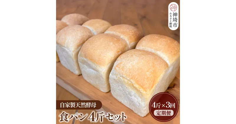 【ふるさと納税】【定期便3回】自家製天然酵母の食パン 4斤【パンと器のコネル】(H094126)