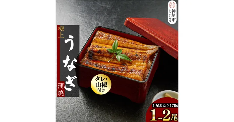 【ふるさと納税】職人手焼き 国産特大うなぎ蒲焼【1尾 / 2尾セット】（1尾当たり約170g前後）(H097107)