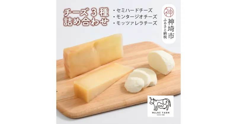 【ふるさと納税】『ミルン牧場のフレッシュなモッツアレラ＆熟成チーズ』のセット100g×計5個【人気 ノンホモ 低温殺菌 低温長時間殺菌 牛乳】(H102120)