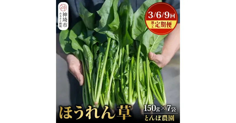 【ふるさと納税】佐賀県脊振山麓産 ほうれん草 約1kg（150g x 7袋）【定期便 3回 / 6回 / 9回】