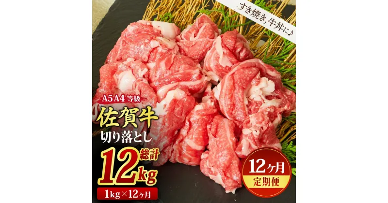 【ふるさと納税】【12回定期便】佐賀牛 切り落とし 1000g（500g×2)（合計12kg）【すき焼き用牛肉 すき焼き用 すき焼き 牛丼 A5 A4 希少 国産和牛 牛肉 肉 牛】(H085196)