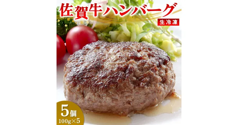 【ふるさと納税】佐賀牛ハンバーグ｜冷凍 国産 冷凍食品 お取り寄せ ギフト 高級 牛 佐賀 ふるさと 取り寄せ 美味しい 贈り物 調理済み 電子レンジ レンジ レンジ調理 弁当 温めるだけ 牛100% A5 肉 黒毛和牛 最高級 ブランド牛 バーベキュー グルメ お歳暮 送料無料 H106201