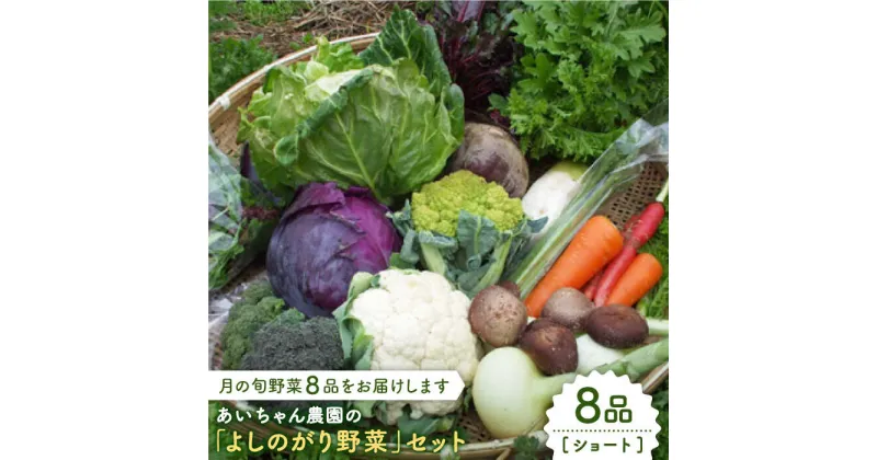 【ふるさと納税】【8品】農薬に頼らない！カラダにやさしい「よしのがり野菜」セット（ショート）【吉野ヶ里あいちゃん農園】 [FAA001]