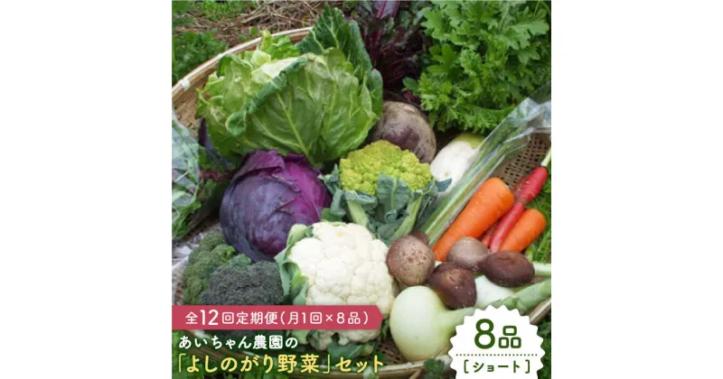 【ふるさと納税】【8品 / 12回定期便】農薬に頼らない！カラダにやさしい「よしのがり野菜」セット（ショート）【吉野ヶ里あいちゃん農園】 [FAA002]