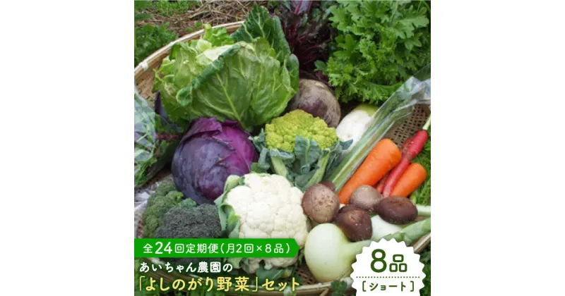 【ふるさと納税】【8品 / 24回定期便】農薬に頼らない！カラダにやさしい「よしのがり野菜」セット（ショート）【吉野ヶ里あいちゃん農園】 [FAA003]