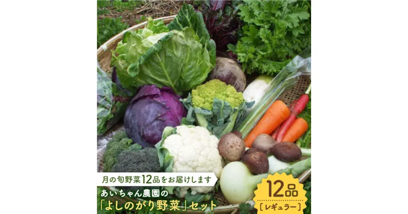 【ふるさと納税】【12品】農薬に頼らない！カラダにやさしい「よしのがり野菜」セット（レギュラー）吉野ヶ里町/吉野ヶ里あいちゃん農園 [FAA005]