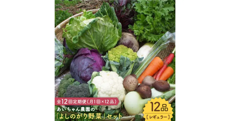 【ふるさと納税】【12品 / 12回定期便】農薬に頼らない！カラダにやさしい「よしのがり野菜」セット（レギュラー）【吉野ヶ里あいちゃん農園】 [FAA006]