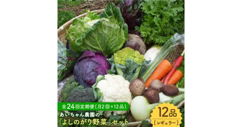 【ふるさと納税】【12品 / 24回定期便】農薬に頼らない！カラダにやさしい「よしのがり野菜」セット（レギュラー）【吉野ヶ里あいちゃん農園】 [FAA007]