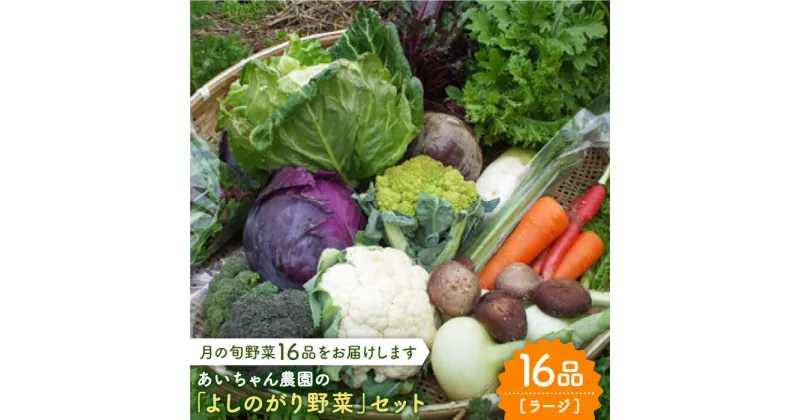 【ふるさと納税】【16品】農薬に頼らない！カラダにやさしい「よしのがり野菜」セット（ラージ）吉野ヶ里町/吉野ヶ里あいちゃん農園[FAA009]