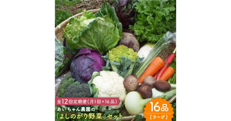 【ふるさと納税】【16品 / 12回定期便】農薬に頼らない！カラダにやさしい「よしのがり野菜」セット（ラージ）【吉野ヶ里あいちゃん農園】 [FAA010]