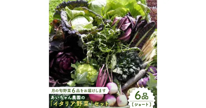 【ふるさと納税】【6品】農薬に頼らない！カラダにやさしい「イタリア野菜」セット（ショート）吉野ヶ里町/吉野ヶ里あいちゃん農園[FAA013]