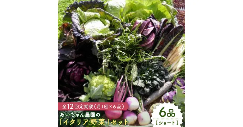 【ふるさと納税】【6品 / 12回定期便】農薬に頼らない！カラダにやさしい「イタリア野菜」セット（ショート）【吉野ヶ里あいちゃん農園】[FAA014]