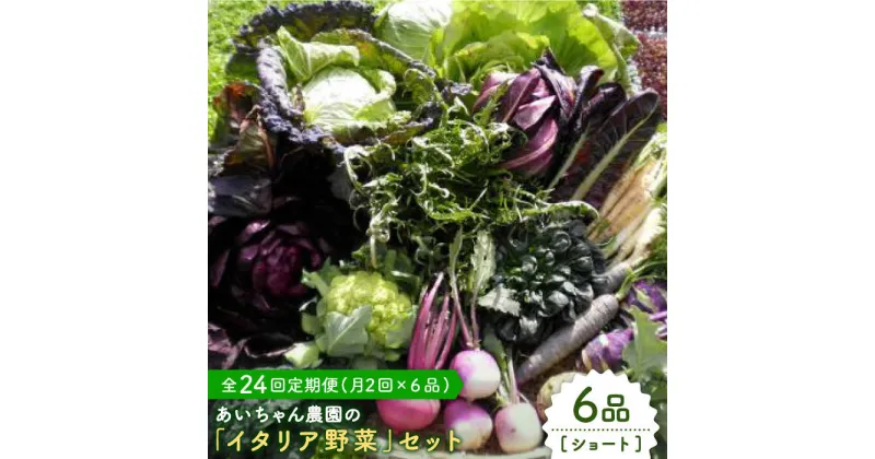 【ふるさと納税】【6品 / 24回定期便】農薬に頼らない！カラダにやさしい「イタリア野菜」セット（ショート）吉野ヶ里町/吉野ヶ里あいちゃん農園[FAA015]