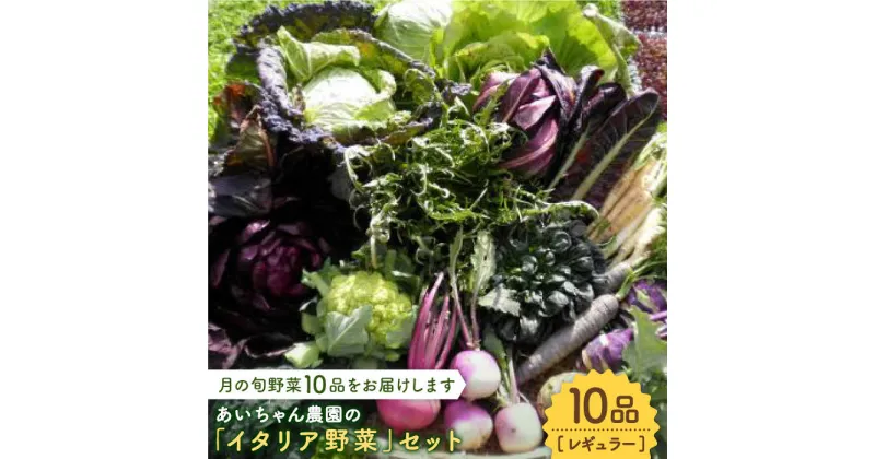 【ふるさと納税】【10品】農薬に頼らない！カラダにやさしい「イタリア野菜」セット（レギュラー）【吉野ヶ里あいちゃん農園】[FAA017]