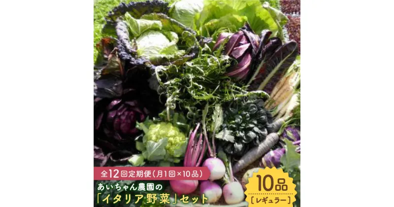 【ふるさと納税】【10品×12回定期便】農薬に頼らない！カラダにやさしい「イタリア野菜」セット（レギュラー）【吉野ヶ里あいちゃん農園】[FAA018]