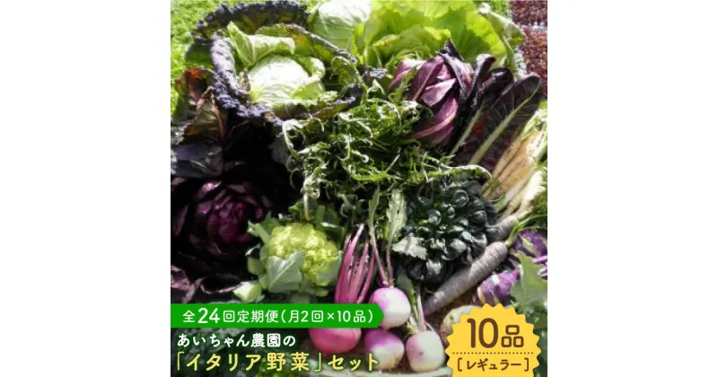 【ふるさと納税】【10品×24回定期便】農薬に頼らない！カラダにやさしい「イタリア野菜」セット（レギュラー）【吉野ヶ里あいちゃん農園】[FAA019]