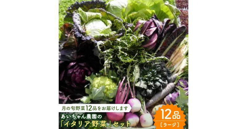 【ふるさと納税】【12品】農薬に頼らない！カラダにやさしい「イタリア野菜」セット（ラージ）吉野ヶ里町/吉野ヶ里あいちゃん農園[FAA021]