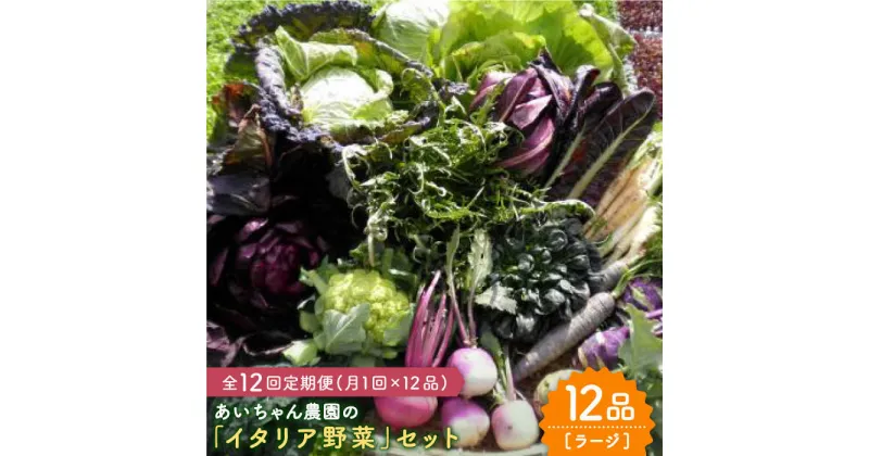 【ふるさと納税】【12品×12回定期便】農薬に頼らない！カラダにやさしい「イタリア野菜」セット（ラージ）【吉野ヶ里あいちゃん農園】[FAA022]