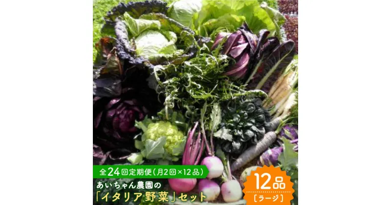 【ふるさと納税】【12品×24回定期便】農薬に頼らない！カラダにやさしい「イタリア野菜」セット（ラージ）【吉野ヶ里あいちゃん農園】[FAA023]