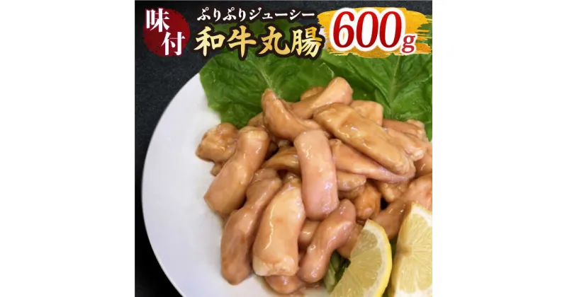 【ふるさと納税】プリプリで味わい深い！ホルモン専門店の和牛丸腸600g（約3〜4人前）【三田川ホルモン専門店】吉野ヶ里町/BBQ/焼肉 [FAC006]