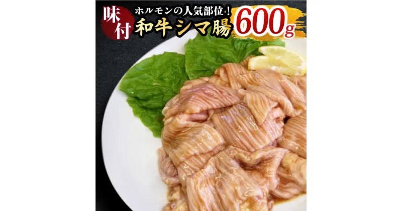 【ふるさと納税】プリプリで味わい深い！ホルモン専門店の味付和牛シマ腸600g（3〜4人前）【三田川ホルモン専門店】吉野ヶ里町/BBQ/焼肉 [FAC008]