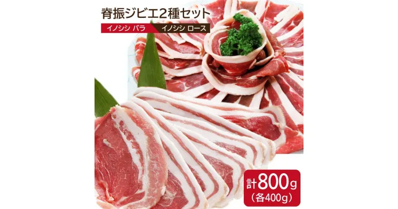 【ふるさと納税】脊振ジビエ イノシシ肉焼肉セットロース・バラ合計800g【ブイマート・幸ちゃん】 [FAL007]