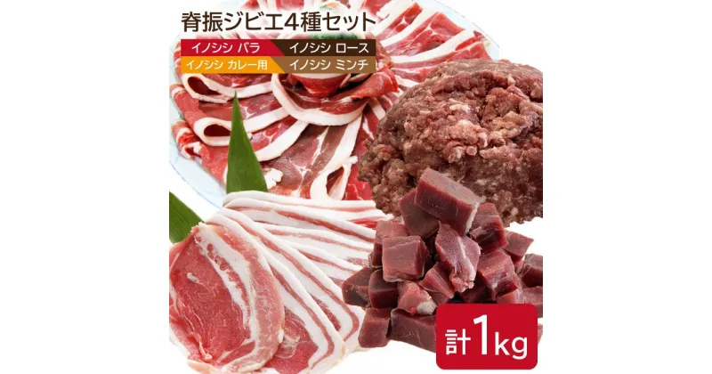 【ふるさと納税】脊振ジビエ イノシシ肉4種詰め合わせセット（小）1kg【ブイマート・幸ちゃん】 [FAL008]