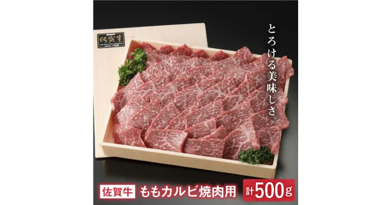 【ふるさと納税】とろける美味しさ 佐賀牛ももカルビ焼肉用 500g【アスタラビスタ】 [FAM004]