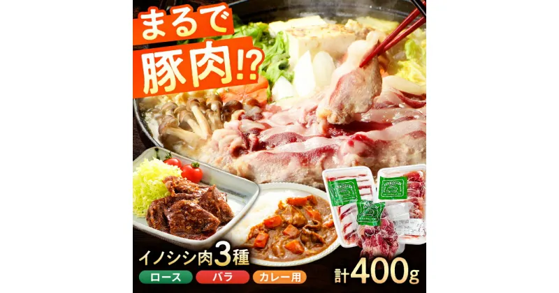 【ふるさと納税】低カロリーで上質なタンパク質♪脊振の美味しいジビエ(猪肉)セット 400g【アスタラビスタ】[FAM006]