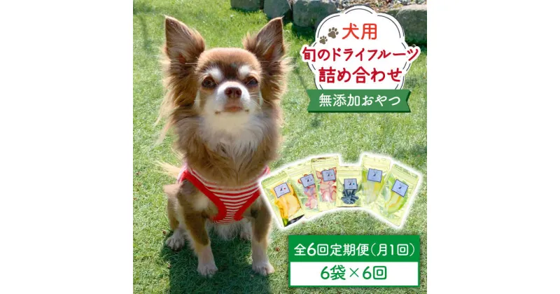 【ふるさと納税】【6袋×6回定期便】犬の無添加おやつ☆お砂糖不使用 旬のドライフルーツ定期便 （ペットフード）【わんこin食堂】ドッグフード/犬用品/ペット用品[FCG009]