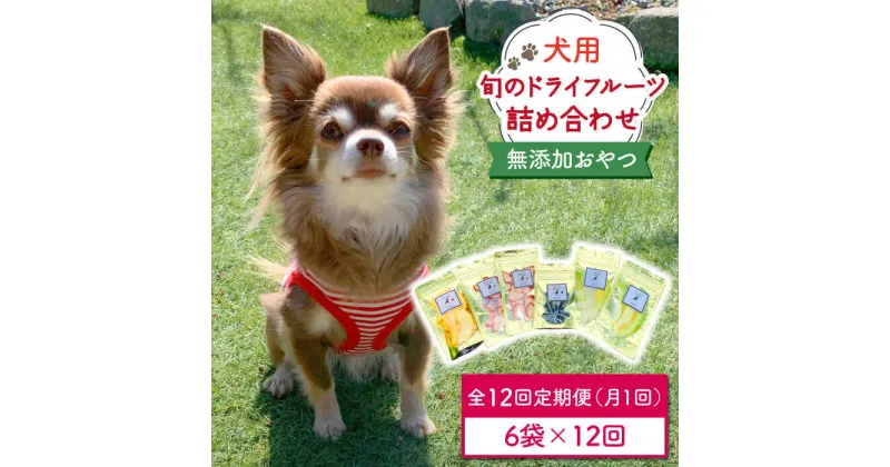 【ふるさと納税】【6袋×12回定期便】犬の無添加おやつ☆お砂糖不使用 旬のドライフルーツ定期便 （ペットフード）【わんこin食堂】ドッグフード/犬用品/ペット用品[FCG010]