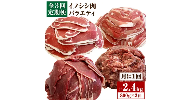 【ふるさと納税】≪脊振ジビエ≫イノシシ肉バラエティ3回定期便 総量2.4kg【ブイマート・幸ちゃん】 [FAL056]