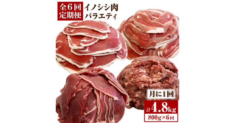 【ふるさと納税】≪脊振ジビエ≫イノシシ肉バラエティ6回定期便 総量4.8kg【ブイマート・幸ちゃん】 [FAL057]