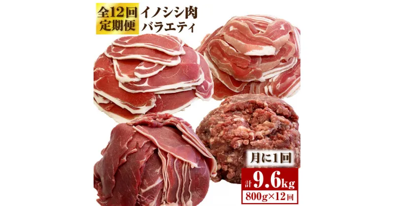 【ふるさと納税】≪脊振ジビエ≫イノシシ肉バラエティ12回定期便 総量9.6kg【ブイマート・幸ちゃん】 [FAL058]