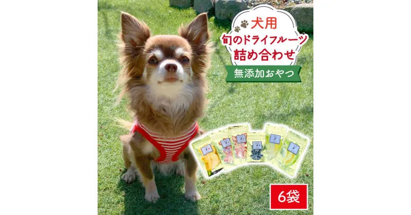 【ふるさと納税】犬の無添加おやつ☆お砂糖不使用 旬のドライフルーツおまかせ6袋 吉野ヶ里町/わんこin食堂[FCG022]