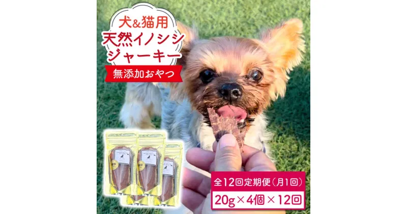 【ふるさと納税】シニア犬＆幼犬＆猫用の無添加おやつ☆固すぎない天然いのししジャーキー12回定期便 吉野ヶ里町/わんこin食堂 [FCG047]