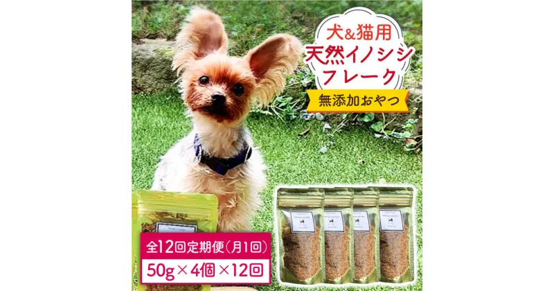 【ふるさと納税】シニア犬＆幼犬＆猫用の無添加おやつ☆ふわふわ天然いのししフレーク12回定期便【わんこin食堂】 [FCG051]