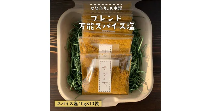 【ふるさと納税】＜テレビで紹介された人気カレー店＞ブレンド万能スパイス塩 10袋セット 吉野ヶ里町/せなふち。 [FCM001]