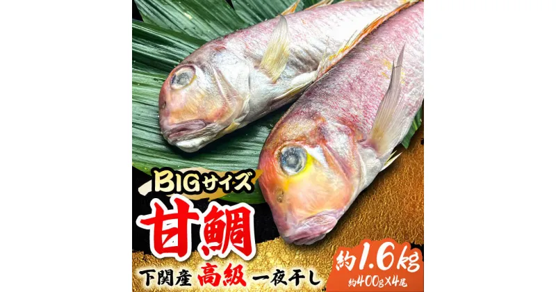 【ふるさと納税】＜大きいサイズ！＞甘鯛の一夜干し4尾（1尾あたり約400g）吉野ヶ里町/やきとり紋次郎 [FCJ046]